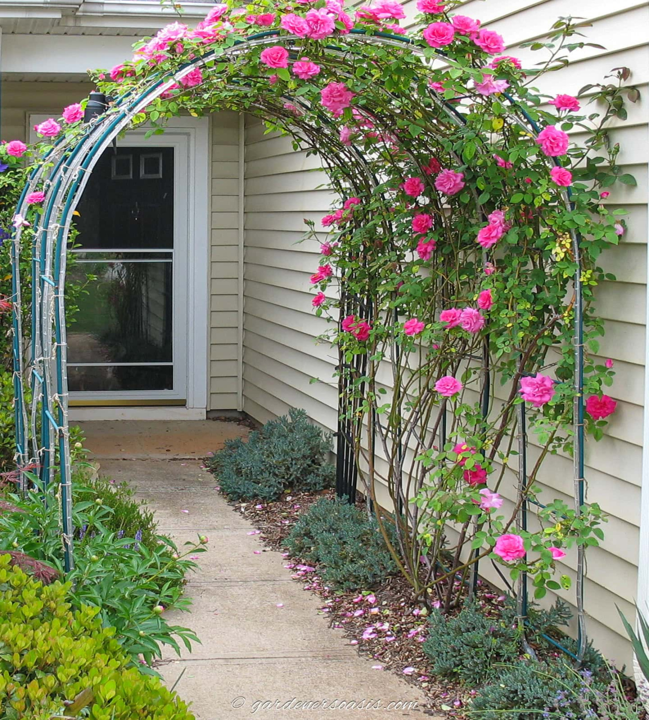 Rose Garden Ideas That Will Beautify Your Yard Rose Garden Ideas That Will Beautify Your Yard