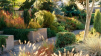 Drought-Tolerant Landscaping Ideas That Save Water and Look Amazing