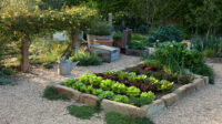 Mediterranean Vegetable Garden Ideas You'll Love - March,